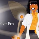 Beehive Pro – WordPress Plugin