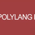 Polylang Pro v3.3.3 – Multilingual Plugin