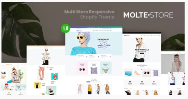 MolteStore - Multi Store Responsive Shopify Theme