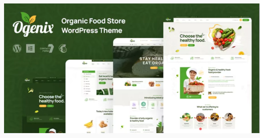 Ogenix - Organic Food Store WordPress Theme