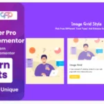 BWD Card Flipper Pro Addon For Elementor