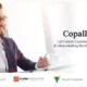 Copallyt Call Center & Telemarketing WordPress Theme