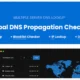 Global DNS - DNS Propagation Checker - WHOIS Lookup - WP
