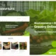 Growceries - Food & Grocery Store Elementor Template Kit
