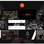 Asurex - Multipurpose WordPress Theme