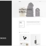 Brueli - Minimal Portfolio / Agency / Architect WordPress Theme