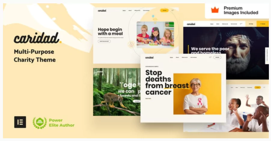 Caridad - Charity WordPress Theme