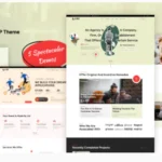 LIEO - Consulting WordPress