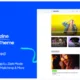 Newsify - Modern Magazine WordPress Theme