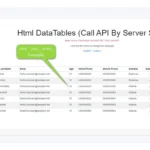 HTML Datatable With API